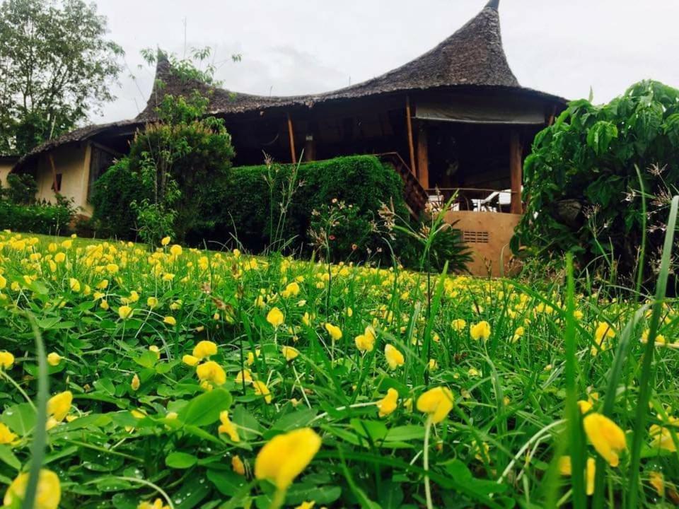 Mari Pai Resort Екстериор снимка